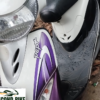 TVS PEP plus 2015