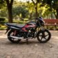 Honda CD 110 Dream 2019