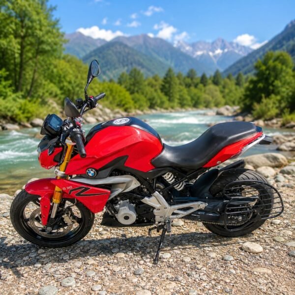 BMW G 310 R 2019
