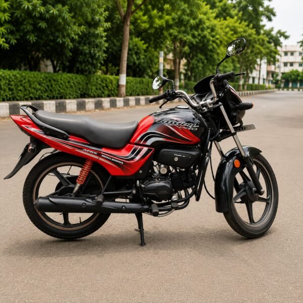 Hero Passion Pro 2010