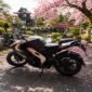 Bajaj Pulsar RS200 2024