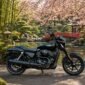 Harley Davidson Street 750 2018