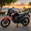 Yamaha FZ-S 2014