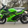 Kawasaki Ninja 300 2024