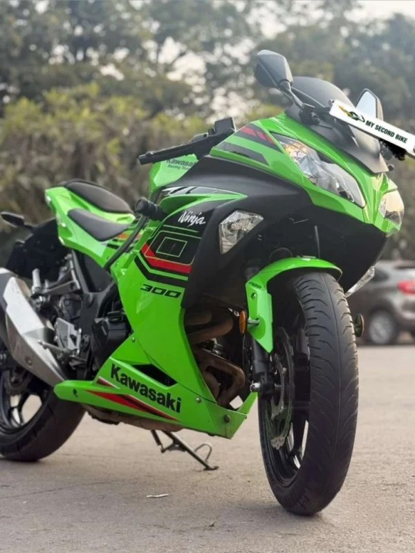 Kawasaki Ninja 300 2024